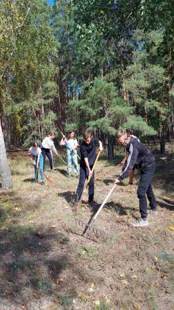 «Зелена толока» у Кременчуці