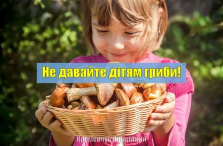 Влада Кременчука закликає відмовитися від споживання дикорослих грибів