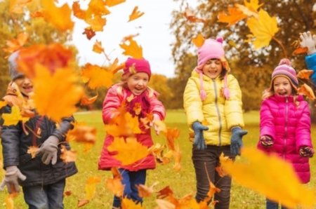 Осінні канікули у кременчуцьких школах розпочнуться 23 жовтня